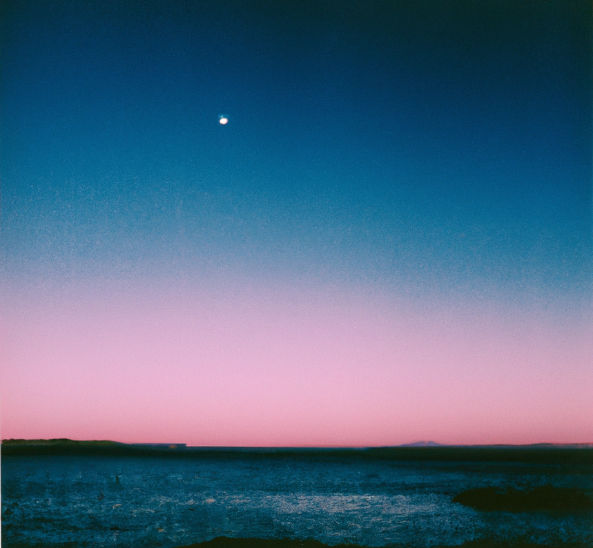 Polaroid Picture